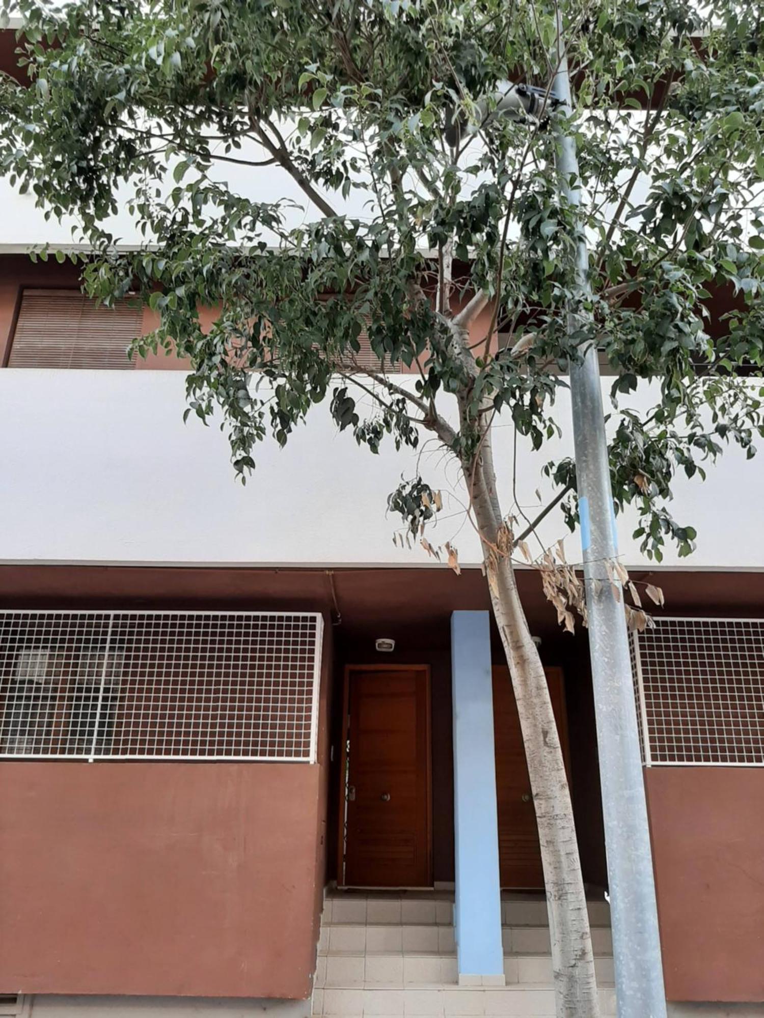 Casa Lliri Con Piscina En Massalfassar Valencia 아파트 외부 사진